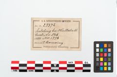 Etikett zu Bronzearmreif (NHMW-PRAE-025372)